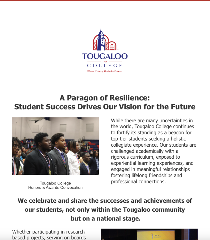 A Paragon of Resilience email campaign