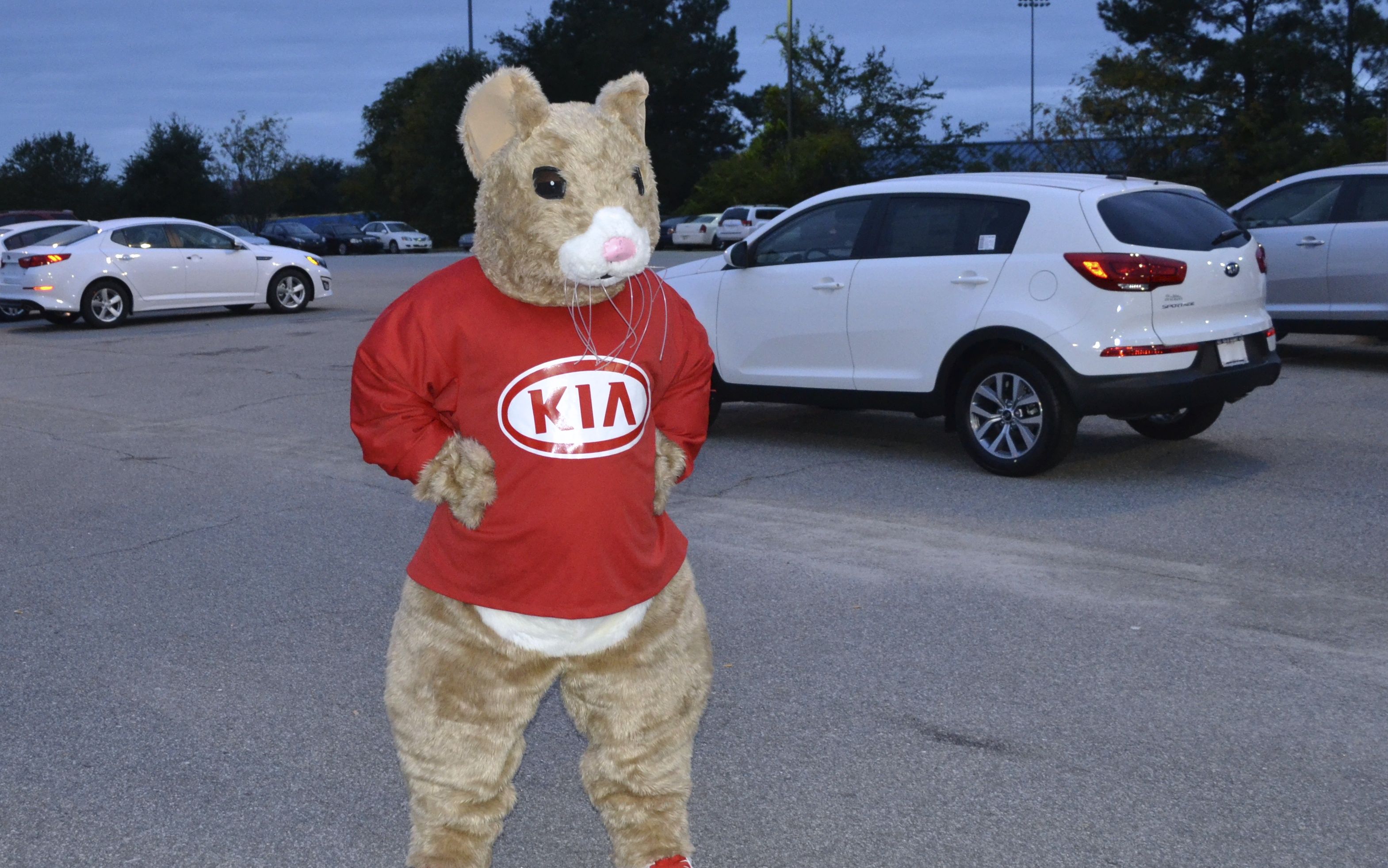Kia of Albany community promotion